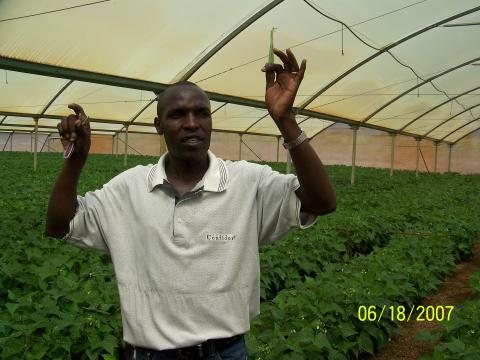 Foreman of the Greenhouse