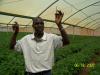 Foreman of the Greenhouse